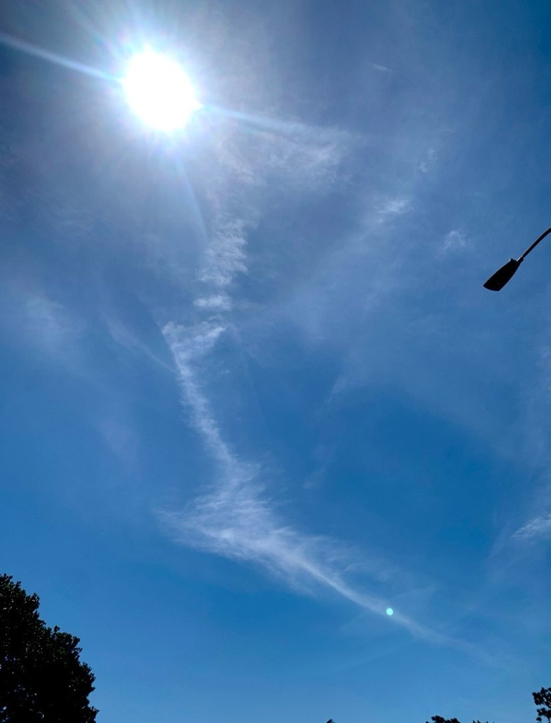 photo of a cloud in the shape of an eagle-like bird flying down towards the ground