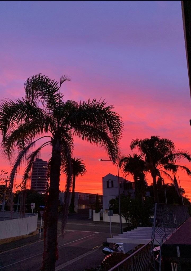 photo of a sunset in Auckland.