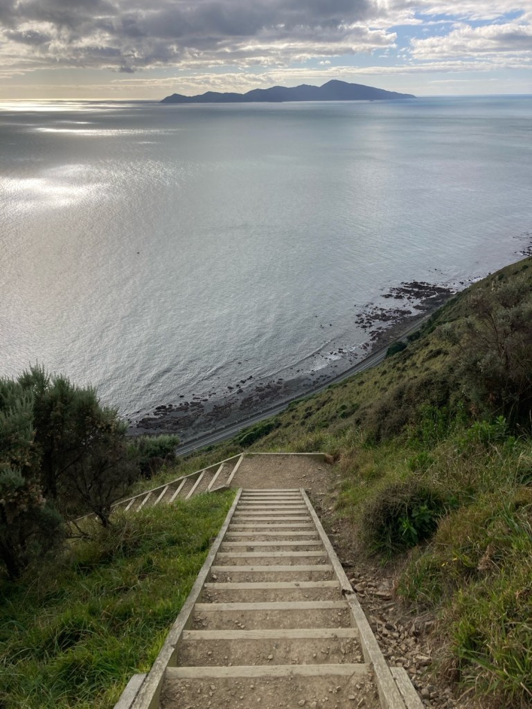 View of the ocean and steps leading down The Escarpment Track, part of Te Araroa.