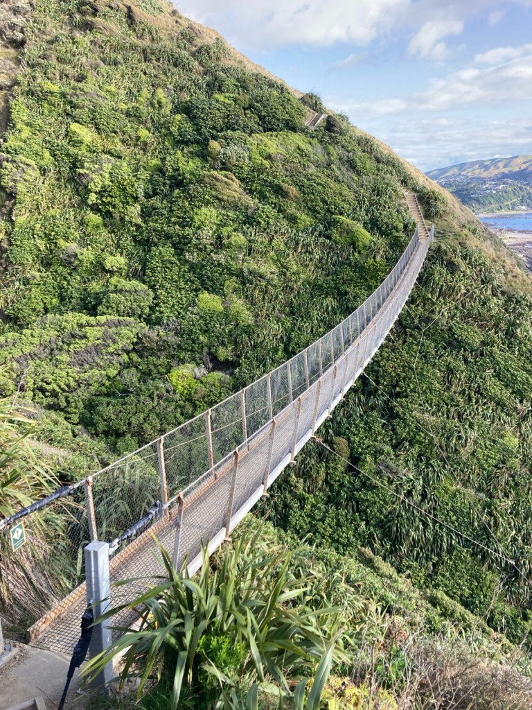 A swing bridge on The Escarpment Track, part of Te Araroa.